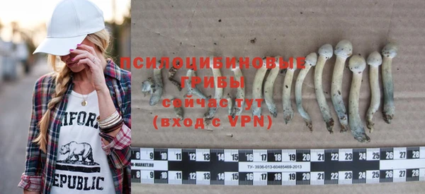 сатива Алексин