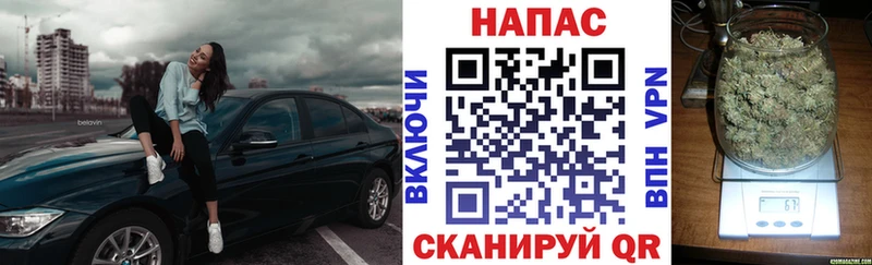Бошки марихуана ГИДРОПОН  где можно купить наркотик  Котовск 
